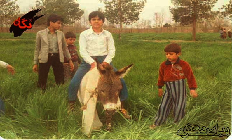 گزارش تصویری | شهید محسن زیارتی