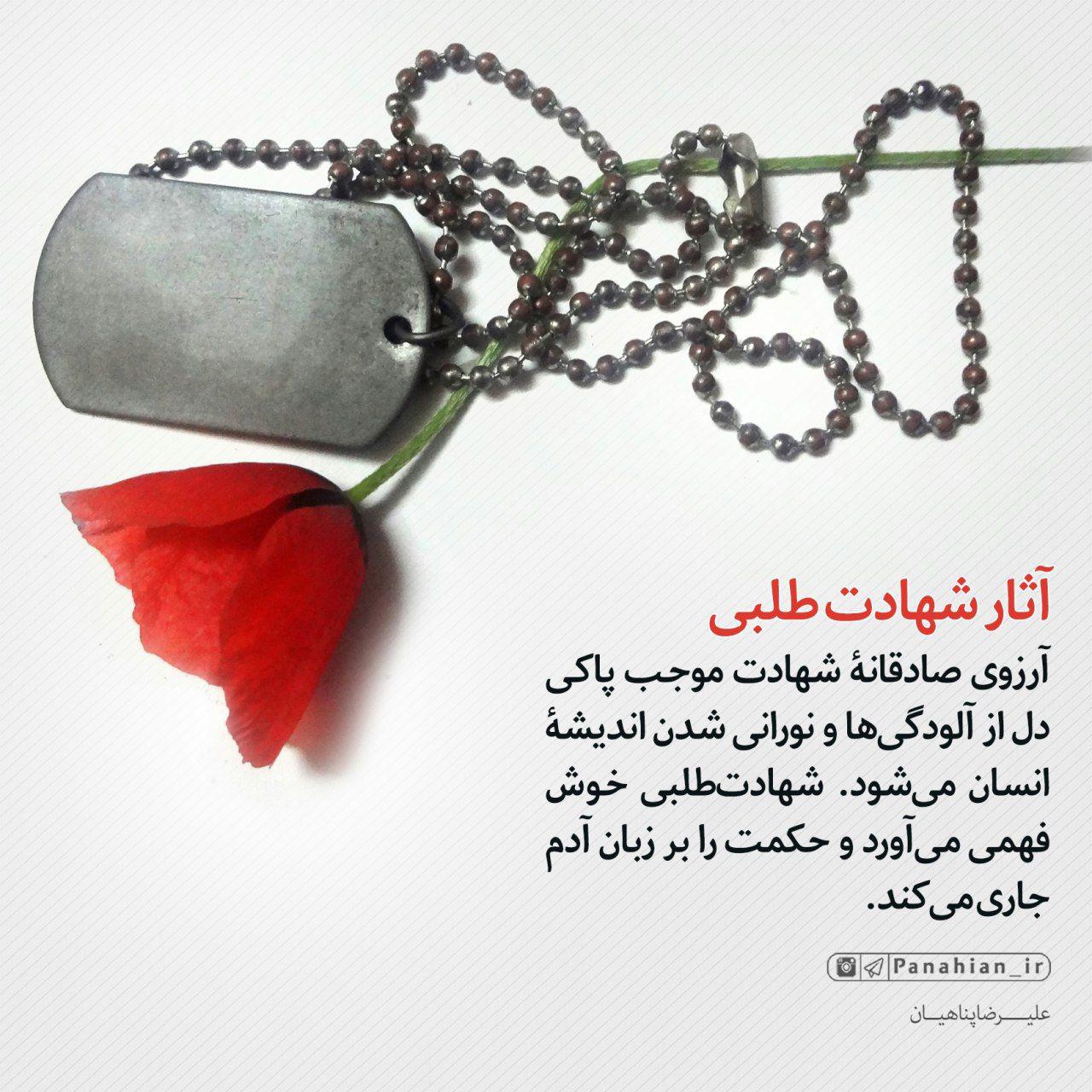 عبارات کوتاه | آثار شهادت طلبی