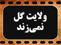کلیپ تصویری | ولایت گل نمی‌زند!
