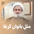 کلیپ تصویری | مثل بانوان کربلا