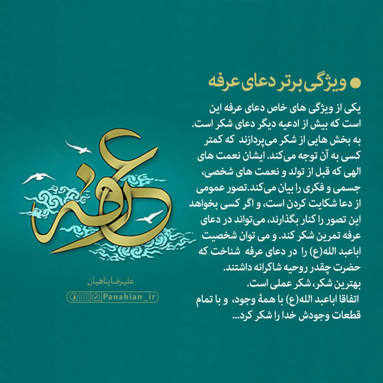 عبارات کوتاه | ویژگی برتر دعای عرفه