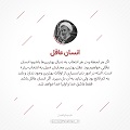 عبارات کوتاه |  انسان عاقل