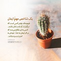 عبارات کوتاه | یک شاخص مهم ایمان