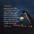 عبارات کوتاه | امتحان عقل