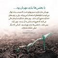 عبارات کوتاه | با بعضی‌ها نباید مهربان بود...