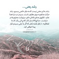 عبارات کوتاه | رشد یعنی ...