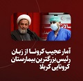 کلیپ تصویری | آمار عجیب کرونای کربلا