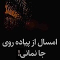 کلیپ تصویری | امسال از پیاده‌روی جا نمانی!